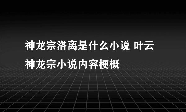 神龙宗洛离是什么小说 叶云神龙宗小说内容梗概