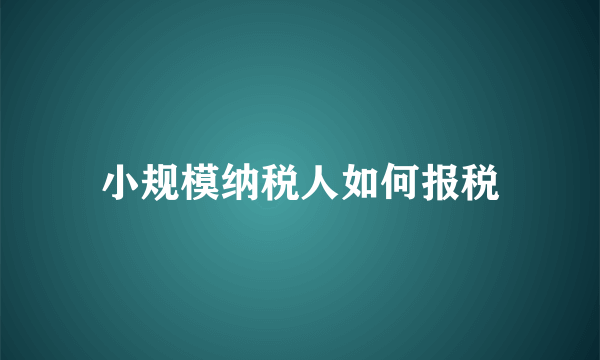 小规模纳税人如何报税