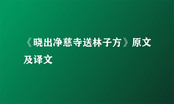 《晓出净慈寺送林子方》原文及译文