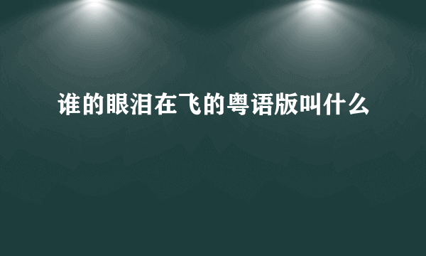 谁的眼泪在飞的粤语版叫什么