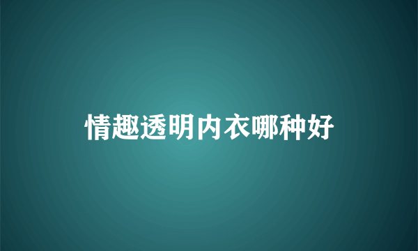 情趣透明内衣哪种好