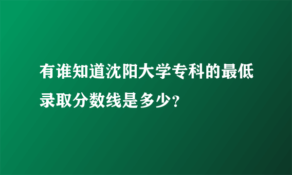 有谁知道沈阳大学专科的最低录取分数线是多少？