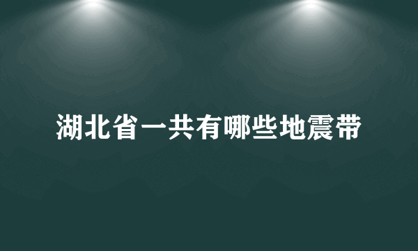 湖北省一共有哪些地震带