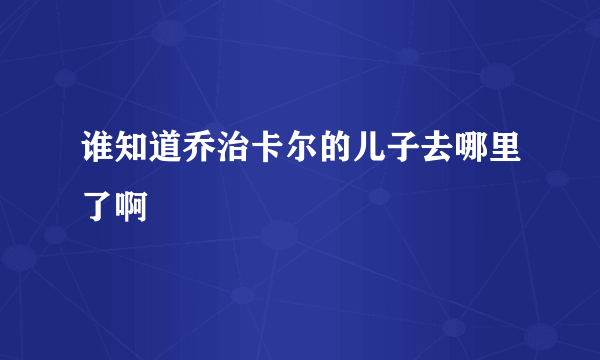 谁知道乔治卡尔的儿子去哪里了啊