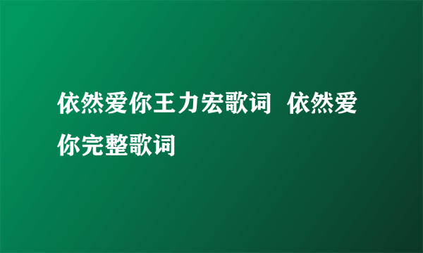 依然爱你王力宏歌词  依然爱你完整歌词