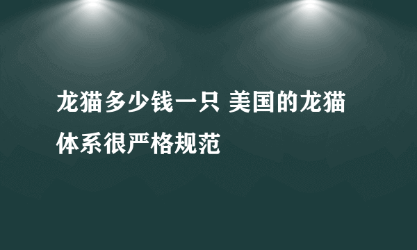 龙猫多少钱一只 美国的龙猫体系很严格规范