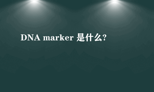 DNA marker 是什么?