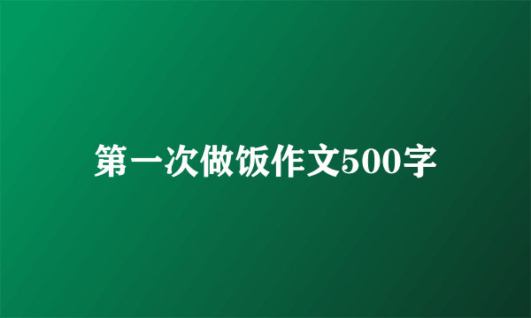 第一次做饭作文500字