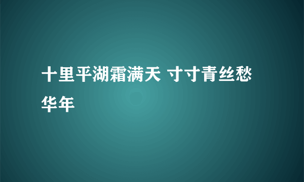 十里平湖霜满天 寸寸青丝愁华年