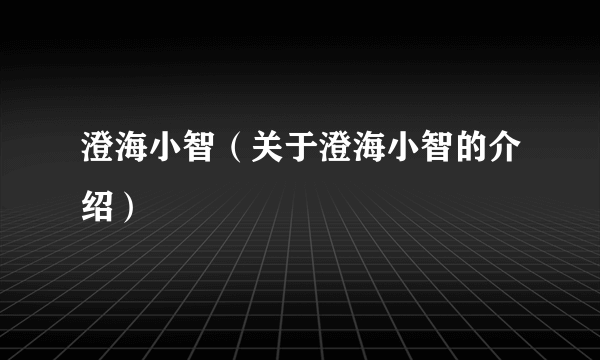 澄海小智（关于澄海小智的介绍）