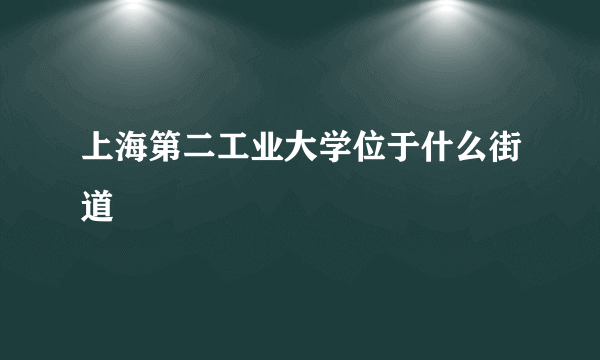 上海第二工业大学位于什么街道