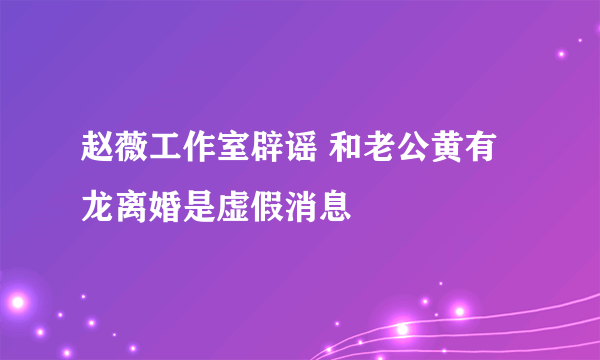 赵薇工作室辟谣 和老公黄有龙离婚是虚假消息