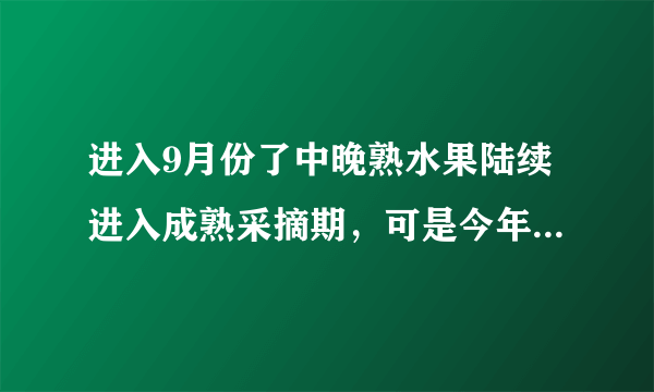 进入9月份了中晚熟水果陆续进入成熟采摘期，可是今年的水果价格怎么这么低？