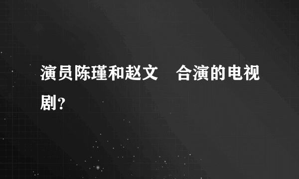 演员陈瑾和赵文瑄合演的电视剧？