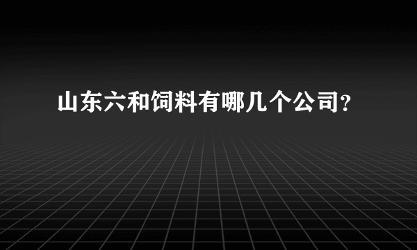 山东六和饲料有哪几个公司？