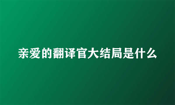 亲爱的翻译官大结局是什么