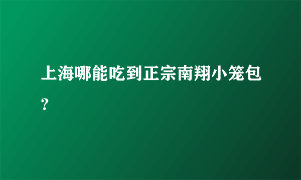 上海哪能吃到正宗南翔小笼包？