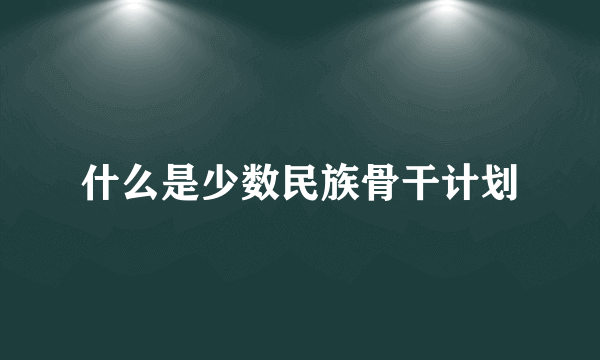 什么是少数民族骨干计划