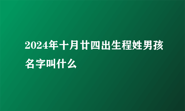 2024年十月廿四出生程姓男孩名字叫什么