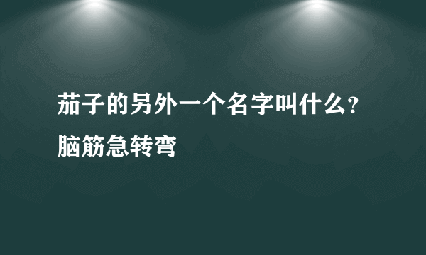 茄子的另外一个名字叫什么？脑筋急转弯