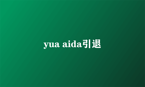 yua aida引退