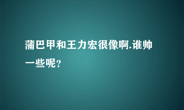 蒲巴甲和王力宏很像啊.谁帅一些呢？