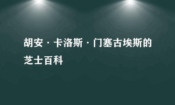 胡安·卡洛斯·门塞古埃斯的芝士百科