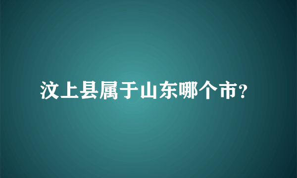 汶上县属于山东哪个市？