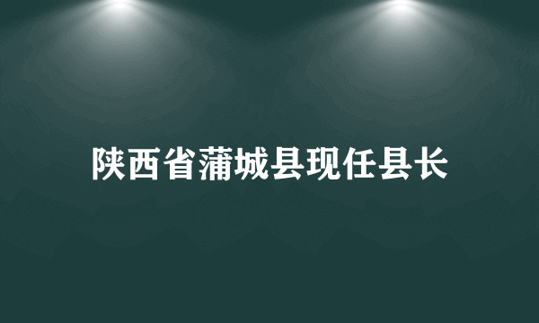 陕西省蒲城县现任县长