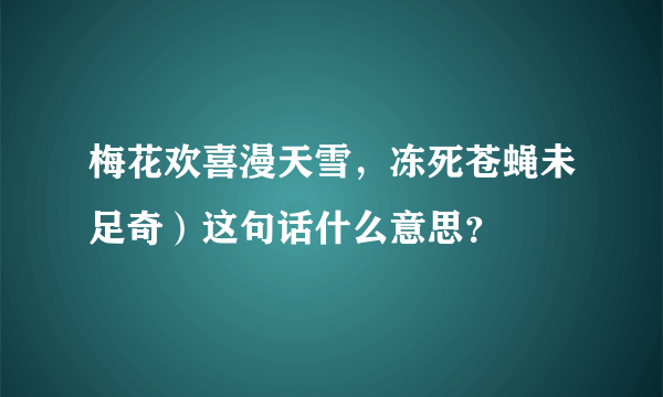 梅花欢喜漫天雪，冻死苍蝇未足奇）这句话什么意思？