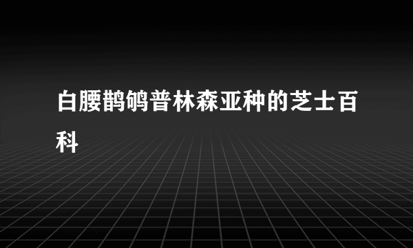 白腰鹊鸲普林森亚种的芝士百科