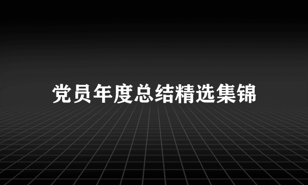 党员年度总结精选集锦