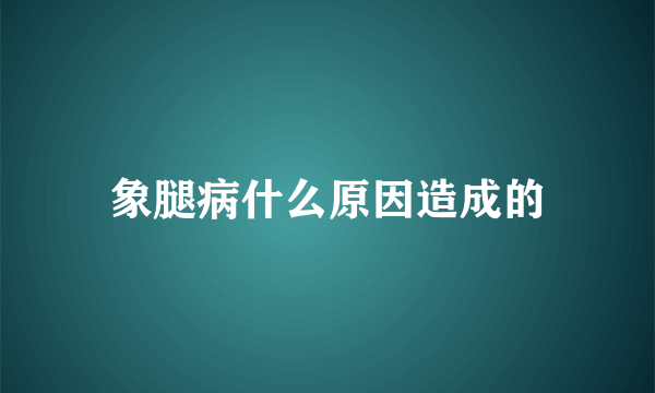 象腿病什么原因造成的