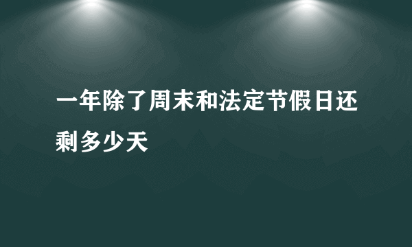 一年除了周末和法定节假日还剩多少天