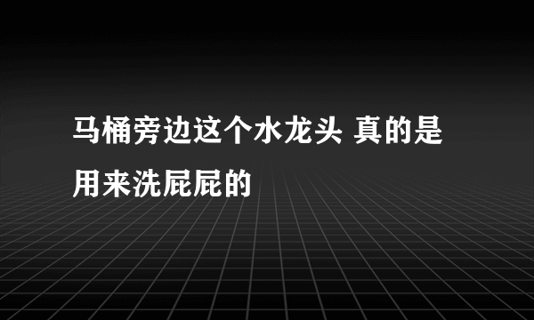 马桶旁边这个水龙头 真的是用来洗屁屁的