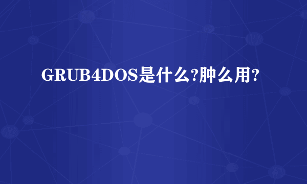 GRUB4DOS是什么?肿么用?