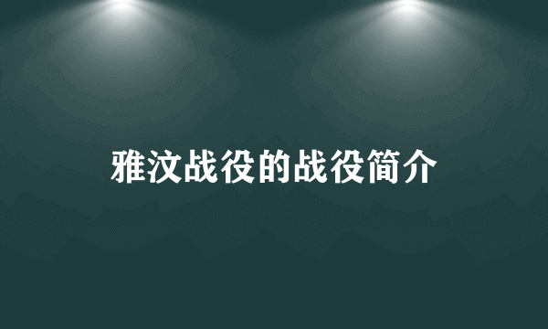 雅汶战役的战役简介