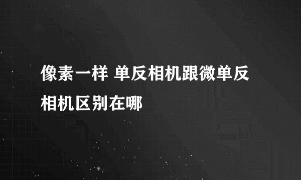 像素一样 单反相机跟微单反相机区别在哪