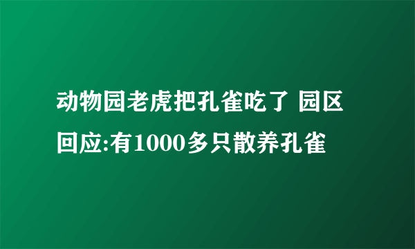 动物园老虎把孔雀吃了 园区回应:有1000多只散养孔雀