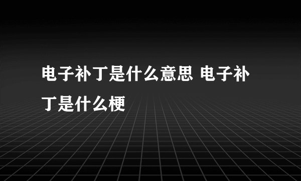 电子补丁是什么意思 电子补丁是什么梗