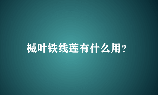 槭叶铁线莲有什么用？