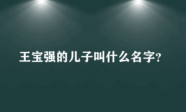 王宝强的儿子叫什么名字？