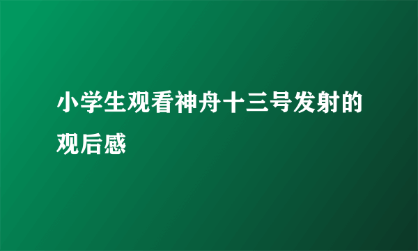 小学生观看神舟十三号发射的观后感