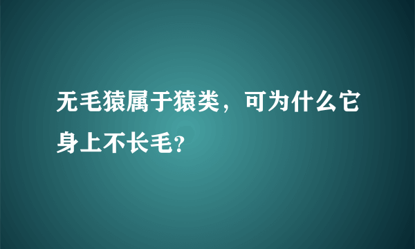 无毛猿属于猿类，可为什么它身上不长毛？