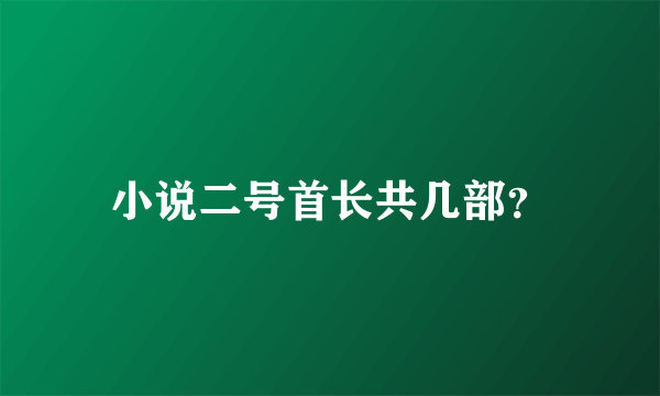 小说二号首长共几部？