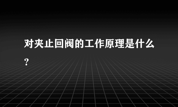 对夹止回阀的工作原理是什么？