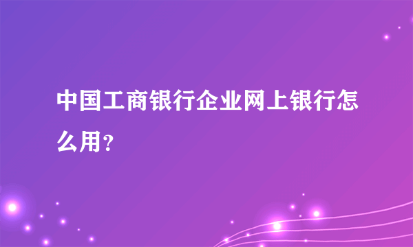 中国工商银行企业网上银行怎么用？