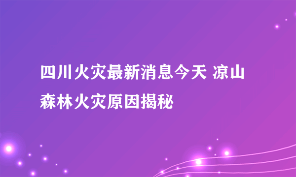 四川火灾最新消息今天 凉山森林火灾原因揭秘