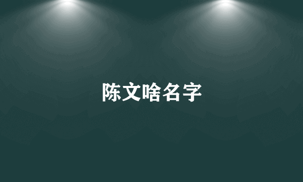 陈文啥名字