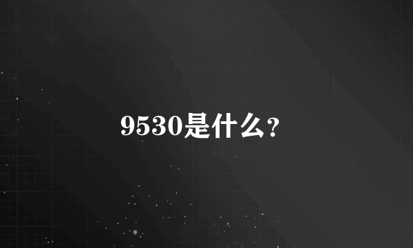 9530是什么？